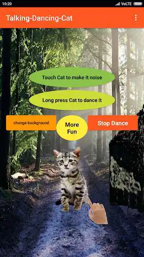 Play Talking Cat-Animal-Dance app  and enjoy Talking Cat-Animal-Dance app with UptoPlay