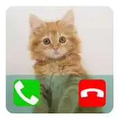 Free play online Talking Cat Calling Prank APK Free play online Talking Cat Calling Prank APK