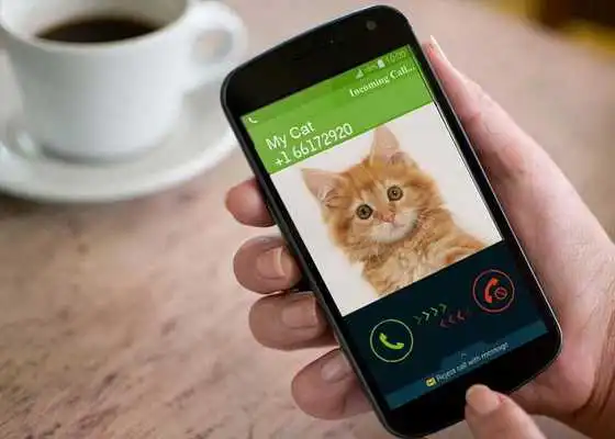 Play Talking Cat Calling Prank