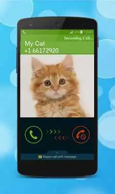 Play Talking Cat Calling Prank