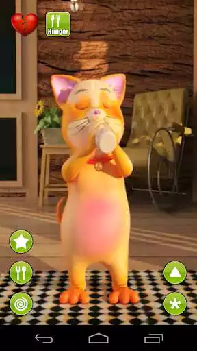 Play Talking Cat