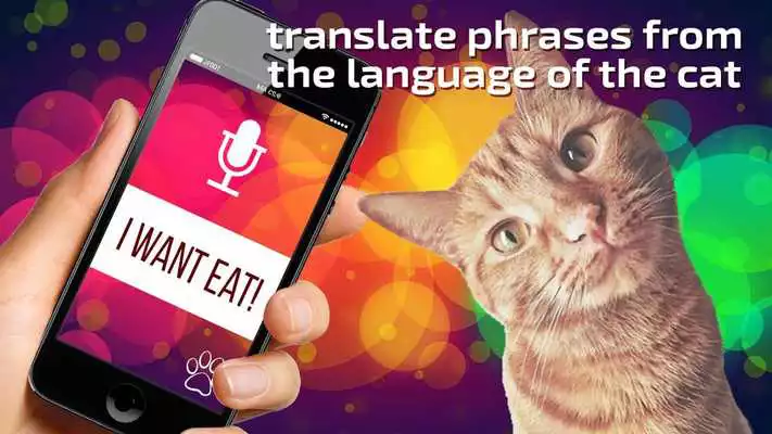 Play Talking Cat Translator PRO Play Talking Cat Translator PRO