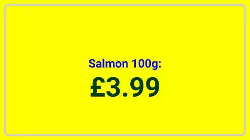 Play Talking Display Shield (Free) Play Talking Display Shield (Free)