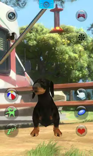 Play Talking Dogs  and enjoy Talking Dogs with UptoPlay