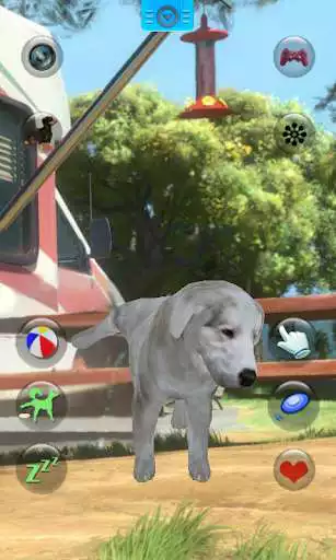 Play Talking Dogs as an online game Talking Dogs with UptoPlay