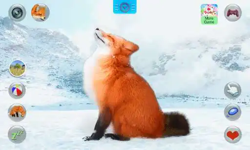 Play Talking Fox  and enjoy Talking Fox with UptoPlay