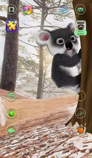 Play Talking Koala Bear  and enjoy Talking Koala Bear with UptoPlay