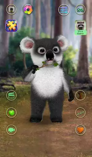 Play Talking Koala Bear as an online game Talking Koala Bear with UptoPlay
