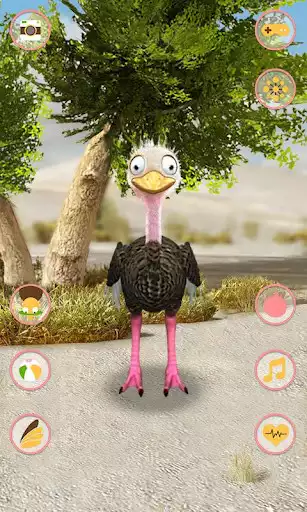 Play Talking Ostrich  and enjoy Talking Ostrich with UptoPlay