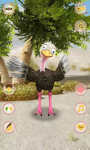Play Talking Ostrich as an online game Talking Ostrich with UptoPlay