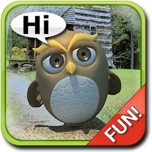 Play Talking Owl APK Play Talking Owl APK