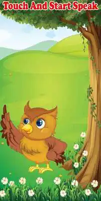 Play Talking Owl  and enjoy Talking Owl with UptoPlay