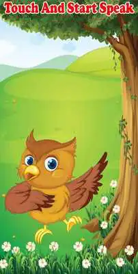 Play Talking Owl as an online game Talking Owl with UptoPlay