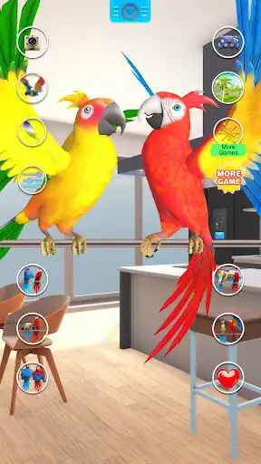 Play Talking Parrot Couple  and enjoy Talking Parrot Couple with UptoPlay