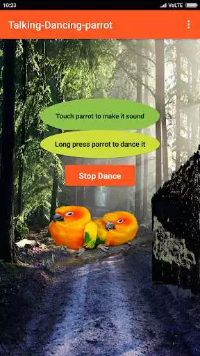 Play Talking Parrot dancing fun  and enjoy Talking Parrot dancing fun with UptoPlay