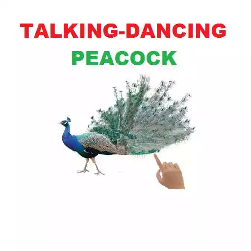 Play Talking Peacock Dance-Fun APK