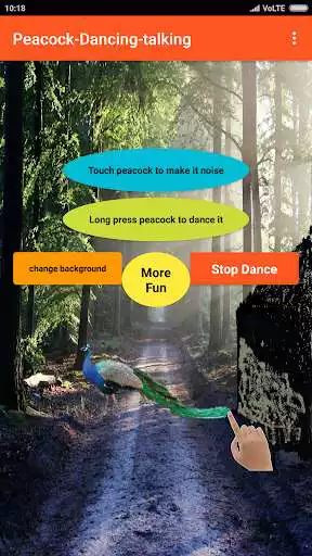 Play Talking Peacock Dance-Fun  and enjoy Talking Peacock Dance-Fun with UptoPlay