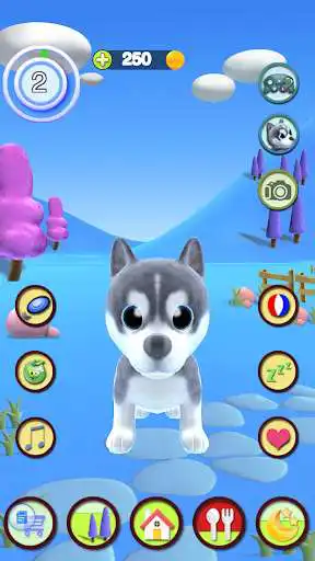 Play Talking Puppy as an online game Talking Puppy with UptoPlay