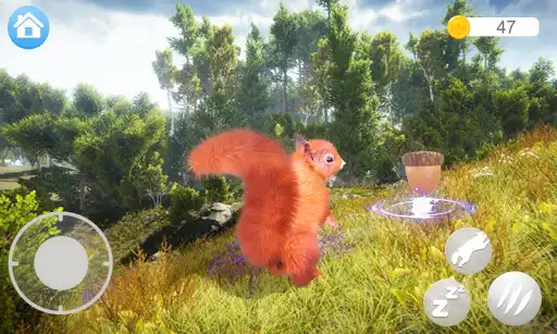 Play Talking Squirrel  and enjoy Talking Squirrel with UptoPlay