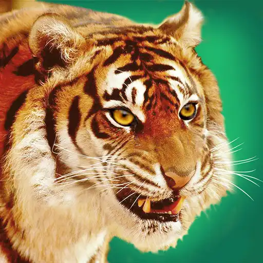 Play Talking Tiger APK Play Talking Tiger APK