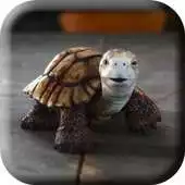 Free play online Talking Turtle Live Wallpaper APK Free play online Talking Turtle Live Wallpaper APK