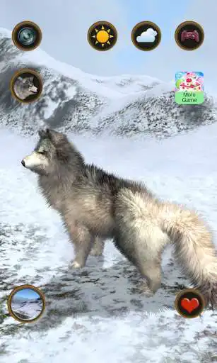 Play Talking Wolf  and enjoy Talking Wolf with UptoPlay