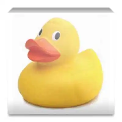 Play Talk to me Duck