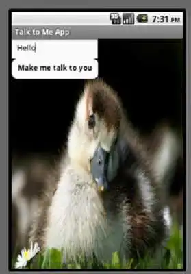 Play Talk to me Duck