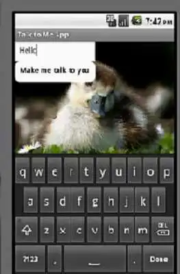 Play Talk to me Duck