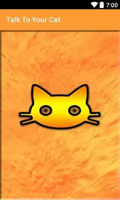 Play Talk To Your Cat