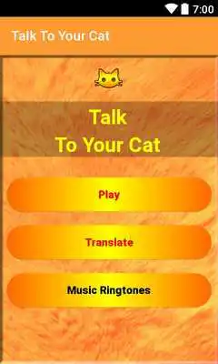 Play Talk To Your Cat