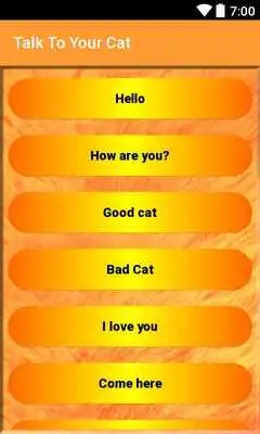 Play Talk To Your Cat
