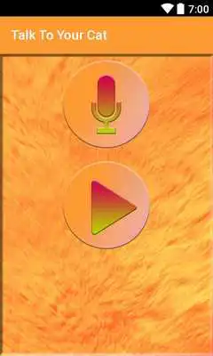 Play Talk To Your Cat
