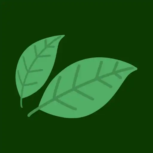 Play tamiiinato  and enjoy tamiiinato with UptoPlay