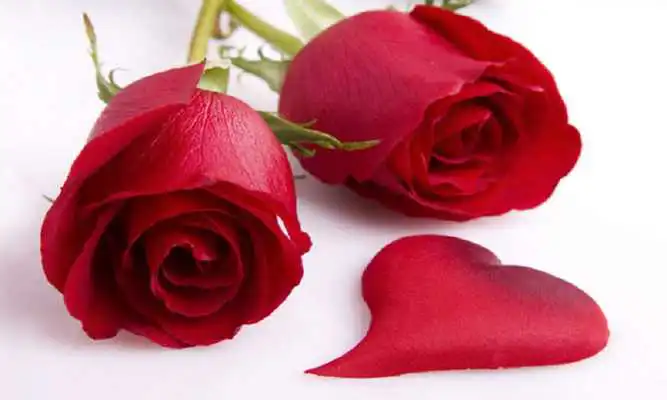 Play Tamil Love Melodies Songs Play Tamil Love Melodies Songs