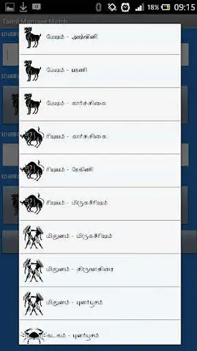 Play Tamil Marriage Match