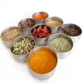 Free play online Tamil Potent Herbs for Health APK
