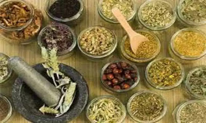 Play Tamil Potent Herbs for Health