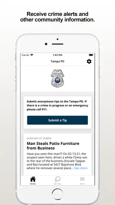 Play Tampa PD  and enjoy Tampa PD with UptoPlay