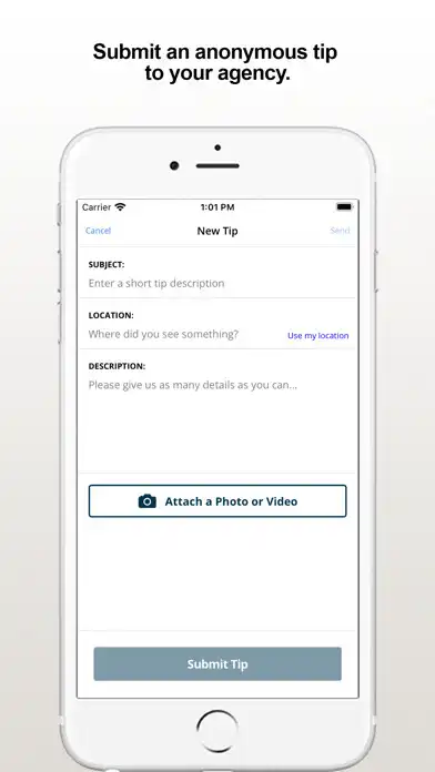 Play Tampa PD as an online game Tampa PD with UptoPlay