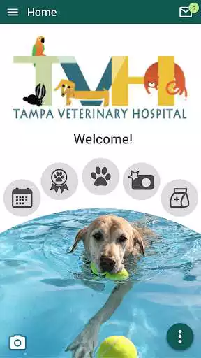 Play Tampa Veterinary Hospital  and enjoy Tampa Veterinary Hospital with UptoPlay