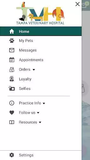 Play Tampa Veterinary Hospital as an online game Tampa Veterinary Hospital with UptoPlay