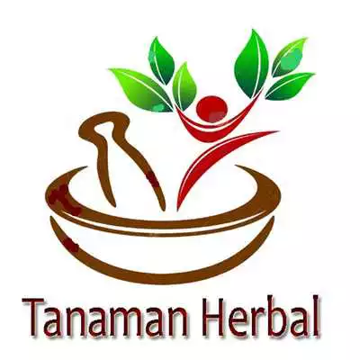 Play Tanaman Herbal as an online game online Tanaman Herbal with UptoPlay Play Tanaman Herbal as an online game Tanaman Herbal with UptoPlay