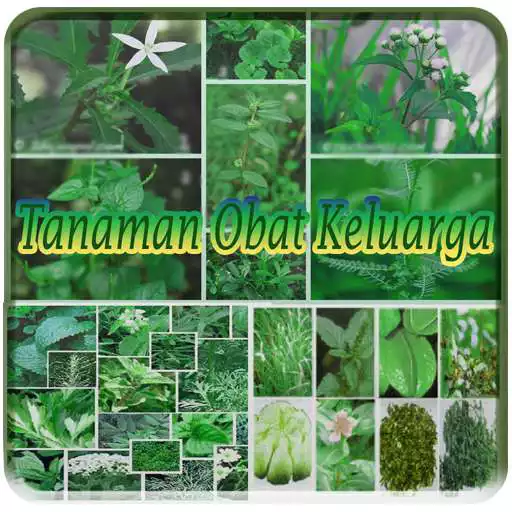 Play Tanaman Obat Keluarga  and enjoy Tanaman Obat Keluarga with UptoPlay