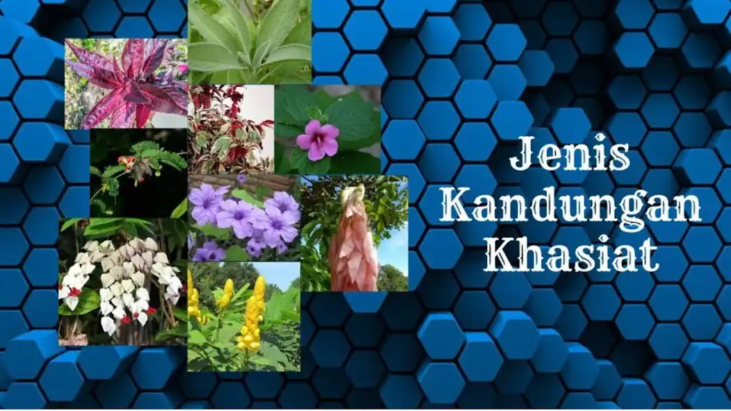 Play Tanaman Obat  khasiat  and enjoy Tanaman Obat  khasiat with UptoPlay