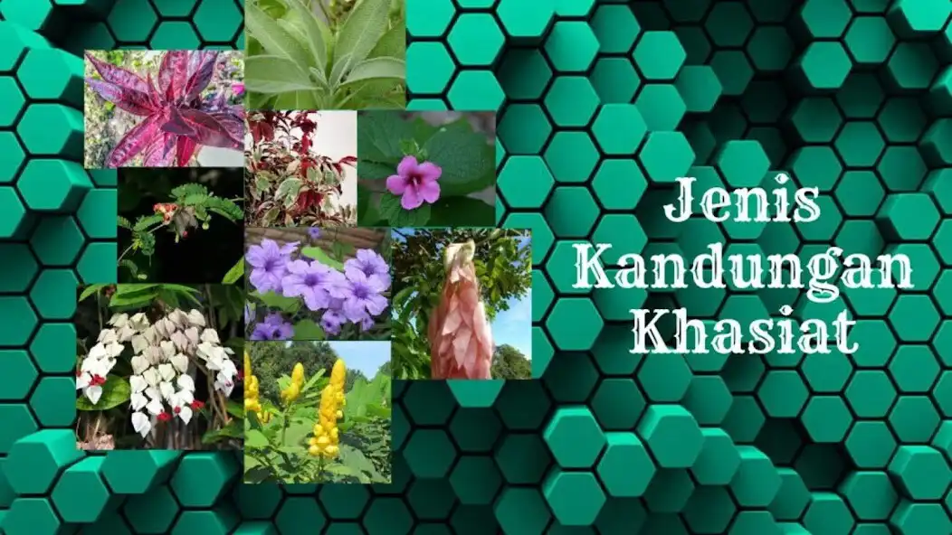 Play Tanaman Obat  khasiat as an online game Tanaman Obat  khasiat with UptoPlay