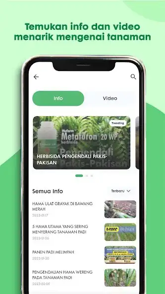 Play TaniDoc as an online game TaniDoc with UptoPlay