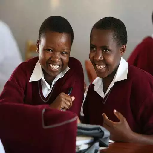 Play TANZANIA SECONDARY SCHOOLS APK