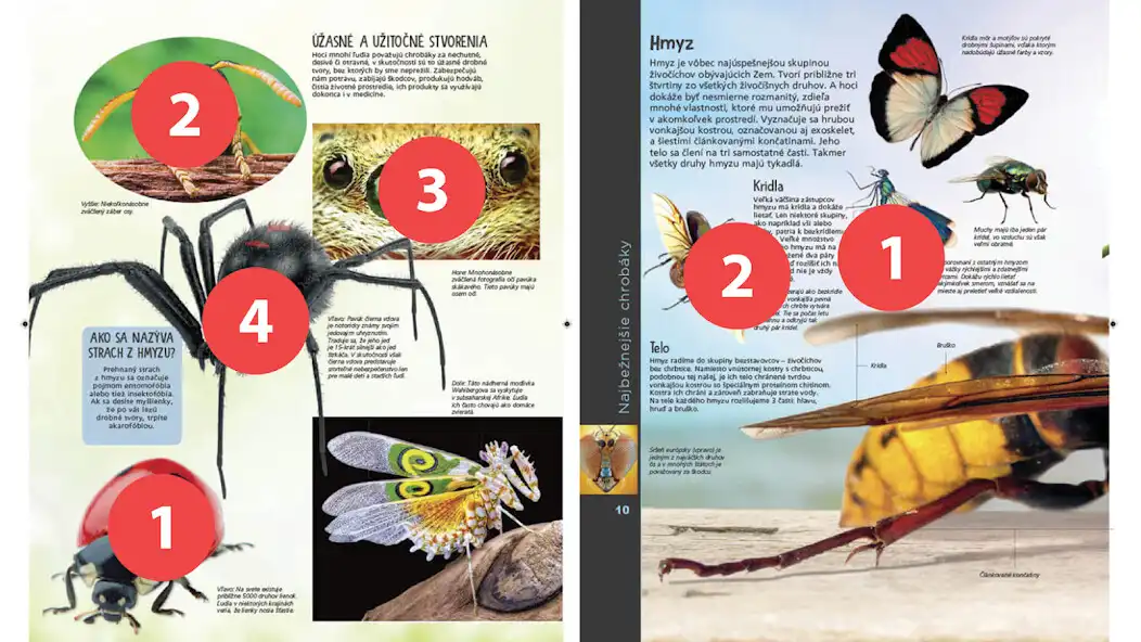 Play TapADot-Bugs  and enjoy TapADot-Bugs with UptoPlay