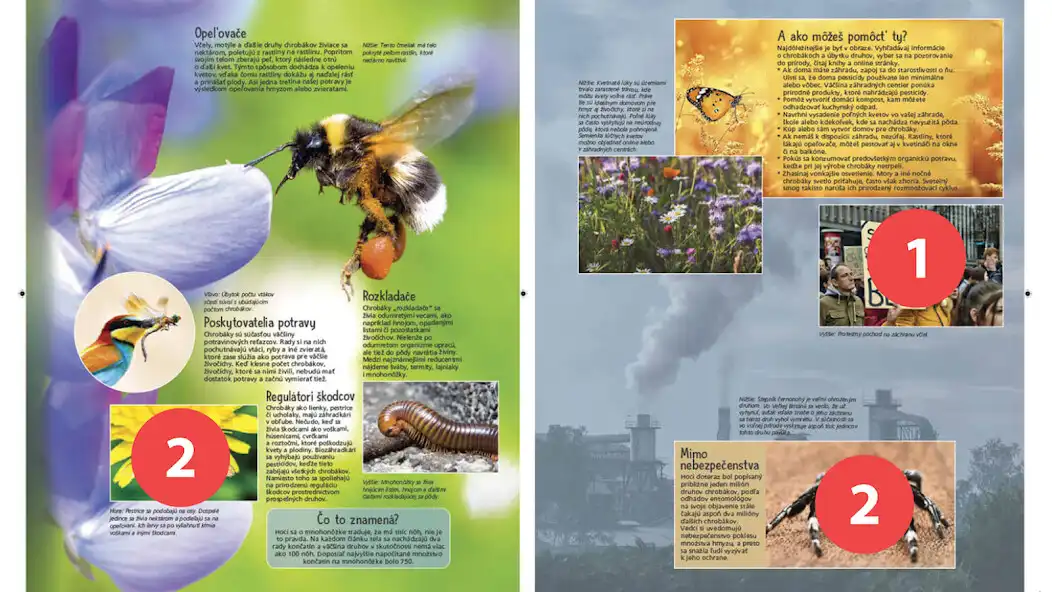 Play TapADot-Bugs as an online game TapADot-Bugs with UptoPlay